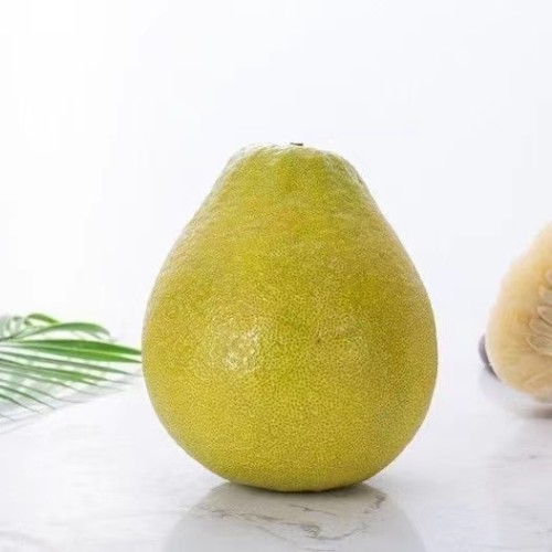 鲜柚 Bưởi tươi