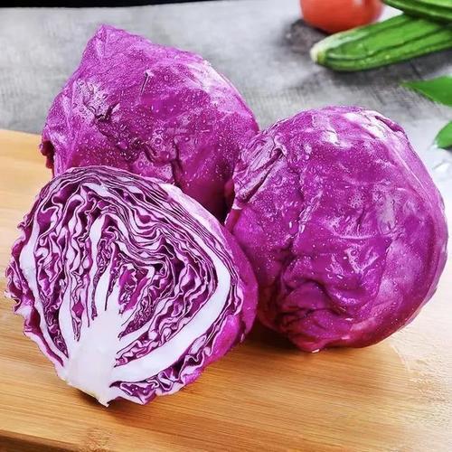 鲜紫甘蓝 Bắp cải tím tươi