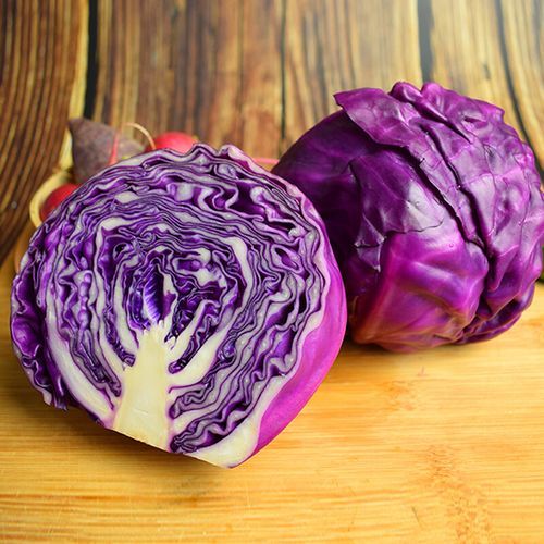 鲜紫甘蓝 Bắp cải tím tươi