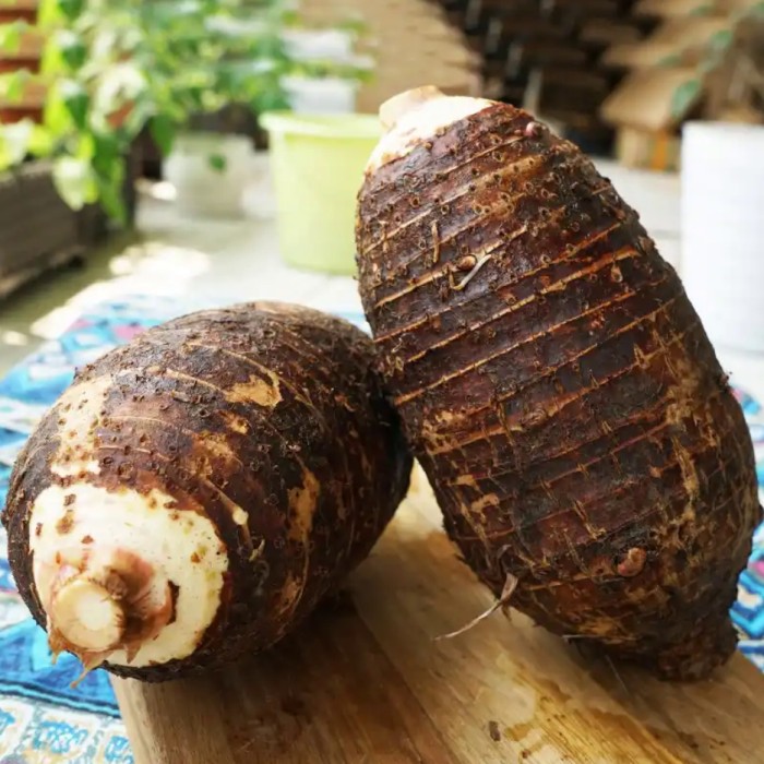 鲜芋头Khoai môn tươi