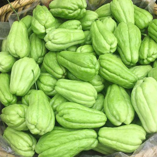 Copy 鲜佛手瓜 Su su tươi