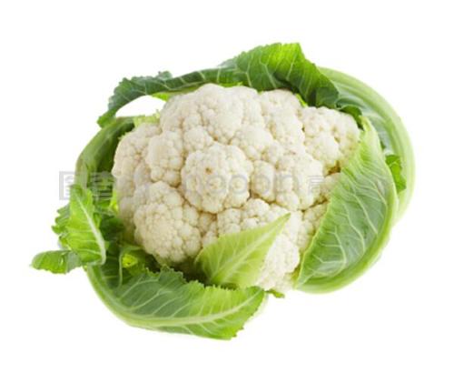 Copy 鲜花椰菜