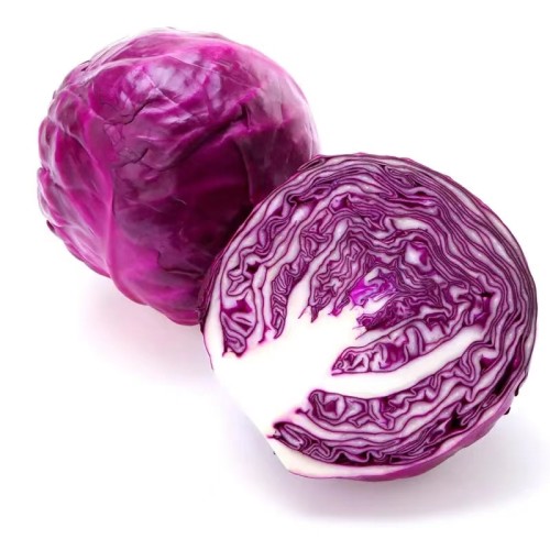 鲜紫甘蓝 Bắp cải tím tươi