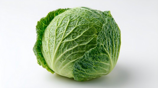 Copy 鲜卷心菜