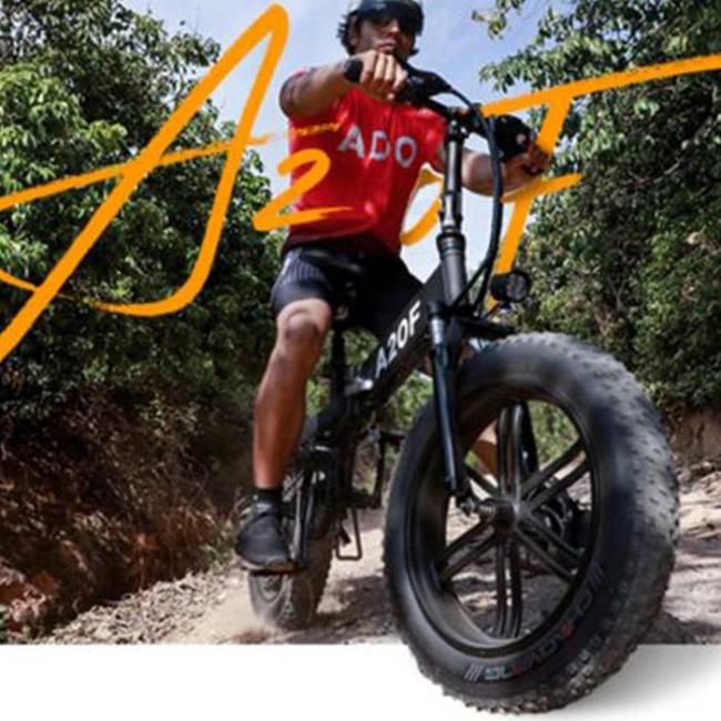Best Foldable Off-road Electric Bicycle
