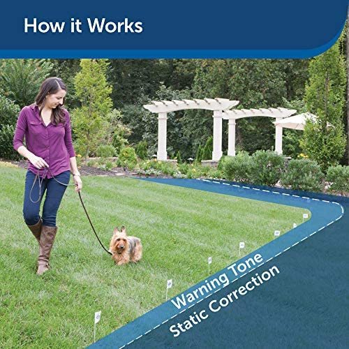 PetSafe Basic In-Ground Dog and Cat Fence – from the Parent Company of INVISIBLE FENCE Brand - Underground Electric Pet Fence System with Waterproof and Battery-Operated Training Collar