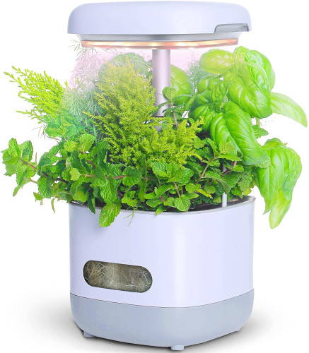 Hydroponics Growing System, 4 Pods Mini Herb Garden with Pump System, Germination Kit with LED Light, Automatic Timer, Height Adjustable