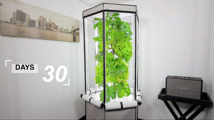 27-Plant Vertical Hydroponics Indoor Growing System - Patented Vertical Hydroponic Kit for Indoor Gardening - Grow Tent, LED Grow Lights & Fan - Grow Lettuce, Herbs, Veggies & Fruits