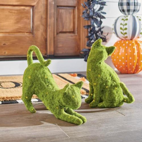Pre-lit Mossy Cats