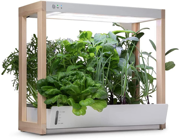 Personal Garden and Starter Kit | Hydroponics Growing System, Wi-Fi & App Controlled Indoor Garden with Growing Lights & Self-Watering System