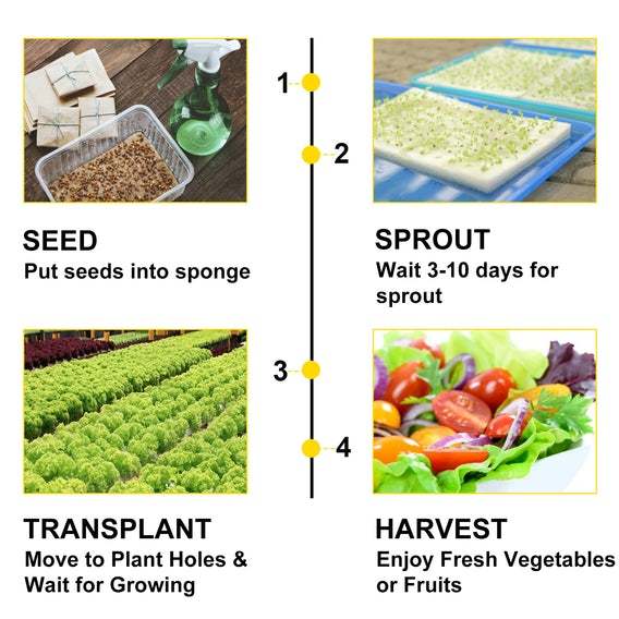Hydroponic Grow Kit 36 Sites 4 Pipes Melon Garden System Vegetable Gardening Diy
