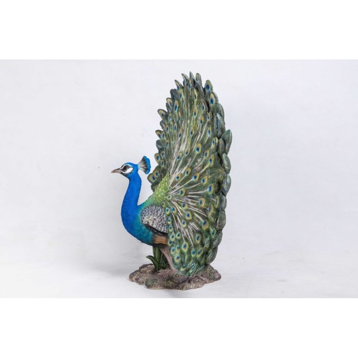 Peacock Withfeathers Out Statue