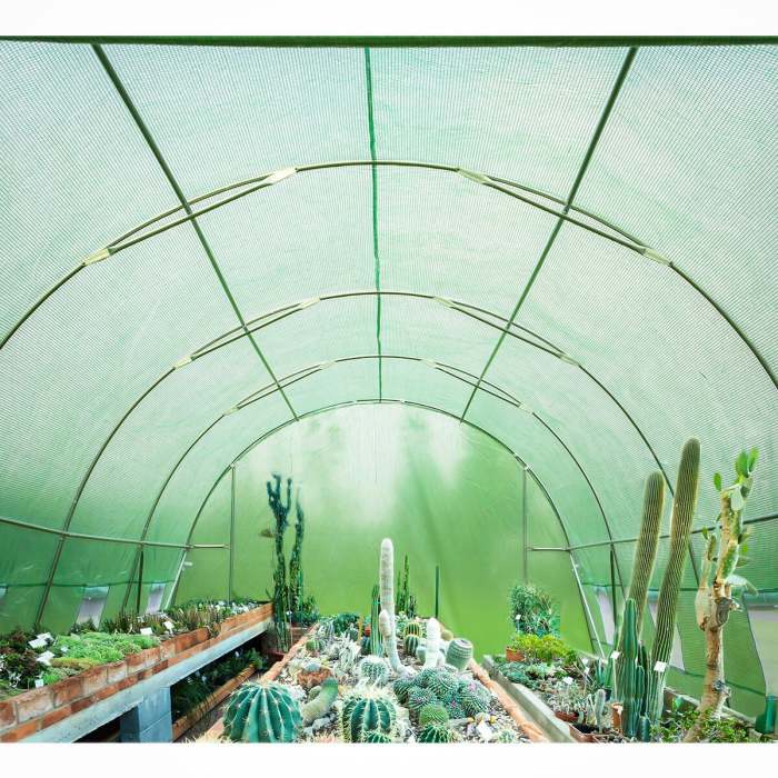 20'x10'x7' Tunnel Greenhouses Walk-in Hoop House, Green