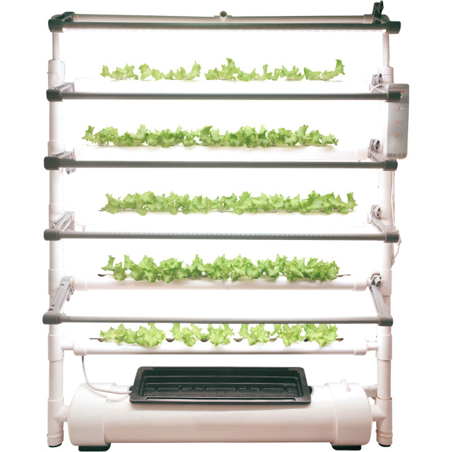 Vertical Hydroponic Grow Wall — 75 Grow Sites, 5-Tier Display