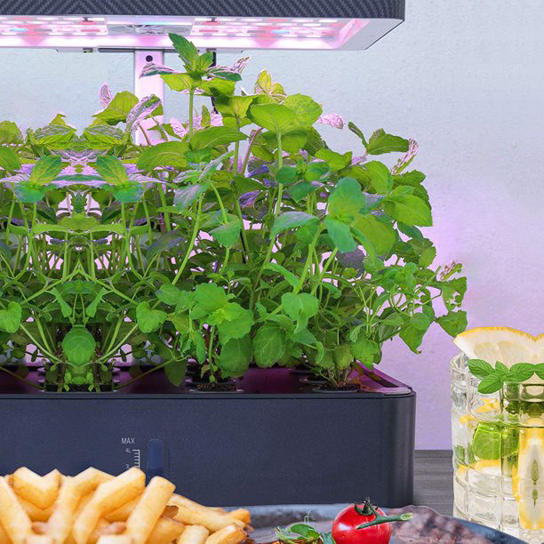 12Pods Indoor Herb Garden Kit, Hydroponics Growing System with LED Grow Light, Smart Garden Planter for Home Bedroom Kitchen Office, Automatic Timer Germination Kit, Height Adjustable
