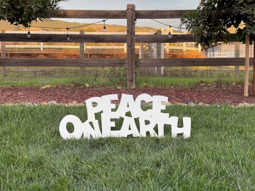 Large Message  Peace on Earth 