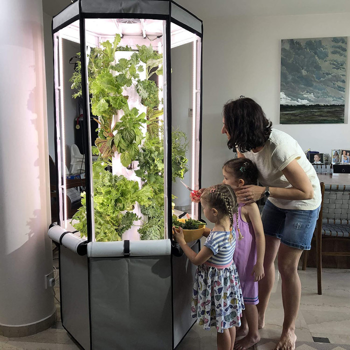27-Plant Vertical Hydroponics Indoor Growing System - Patented Vertical Hydroponic Kit for Indoor Gardening - Grow Tent, LED Grow Lights & Fan - Grow Lettuce, Herbs, Veggies & Fruits