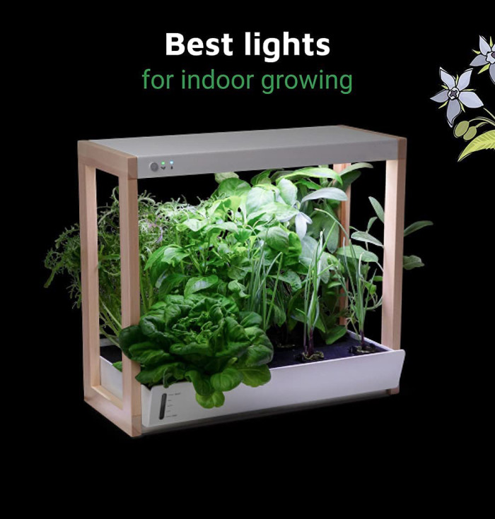 Personal Garden and Starter Kit | Hydroponics Growing System, Wi-Fi & App Controlled Indoor Garden with Growing Lights & Self-Watering System