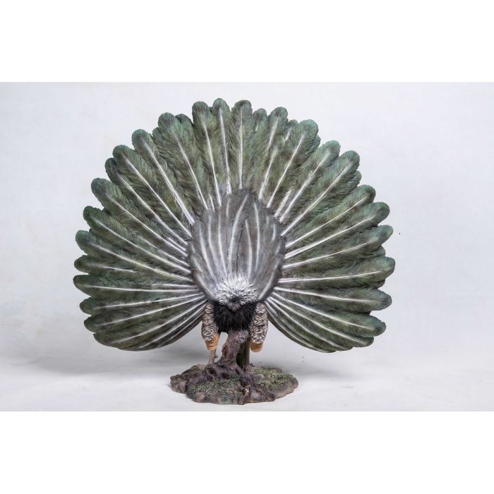 Peacock Withfeathers Out Statue