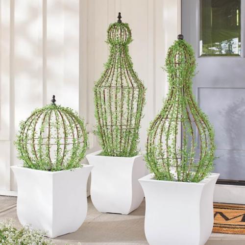 Caged Topiaries