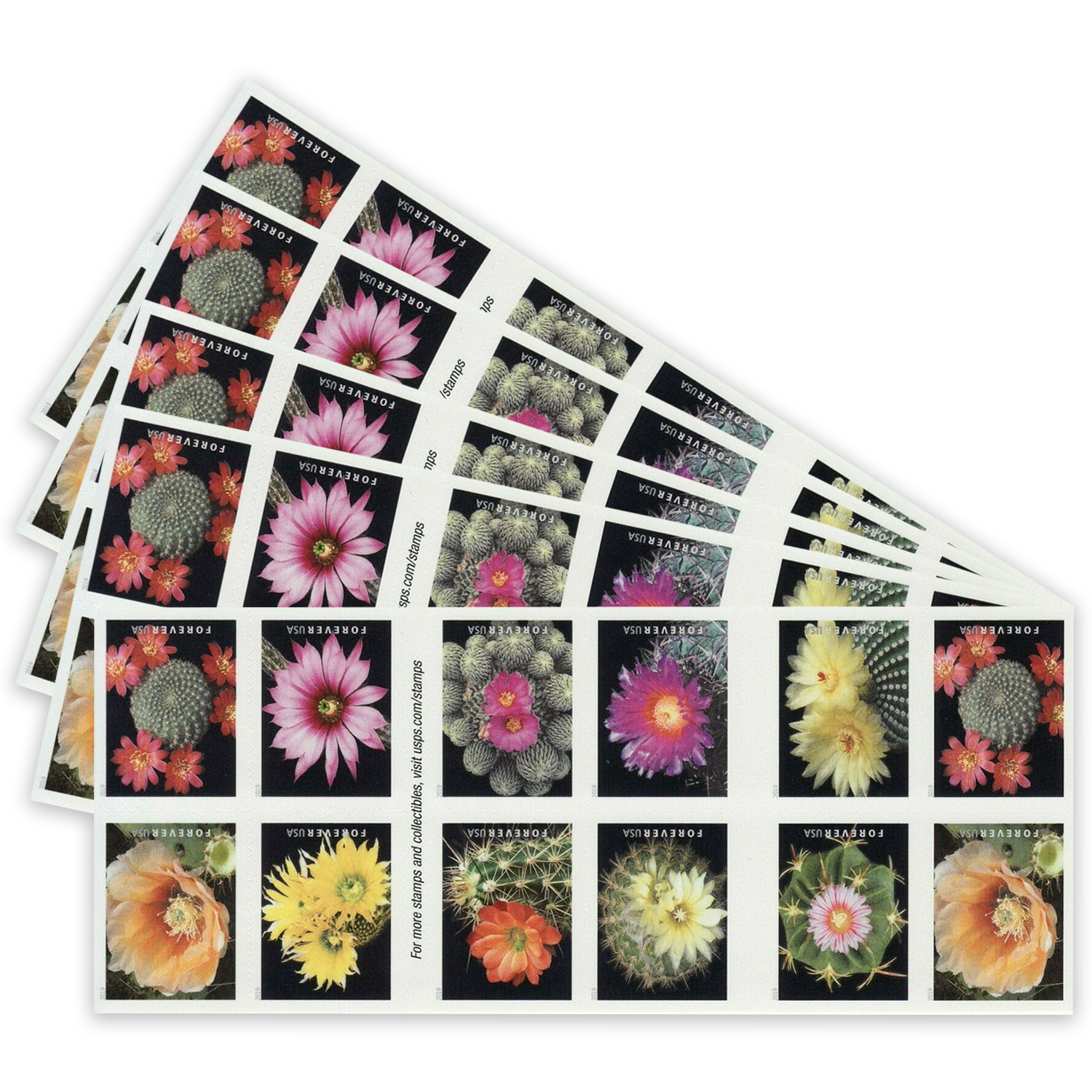 2019 USPS Flag Forever First-Class Postage Stamps Roll – DP FLOWERS CORP