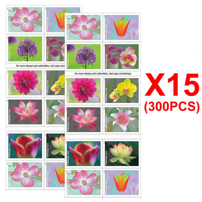 Garden Beauty 2021, 300 Pcs