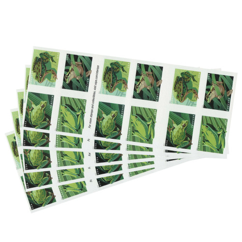 FROGS 100 Pcs