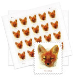 Red Fox, 100 Pcs