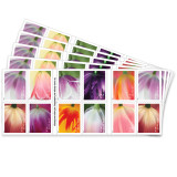 Tulip Blossoms, 100 Pcs