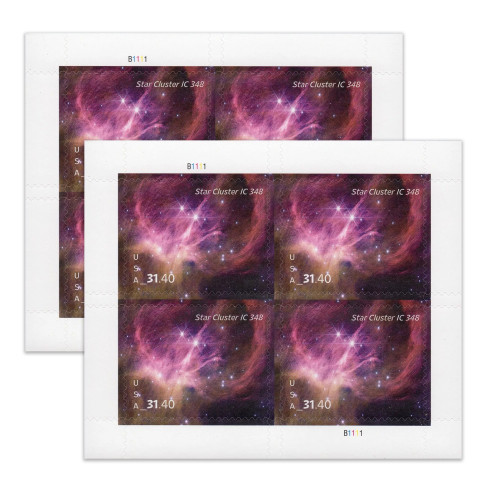 Star Cluster