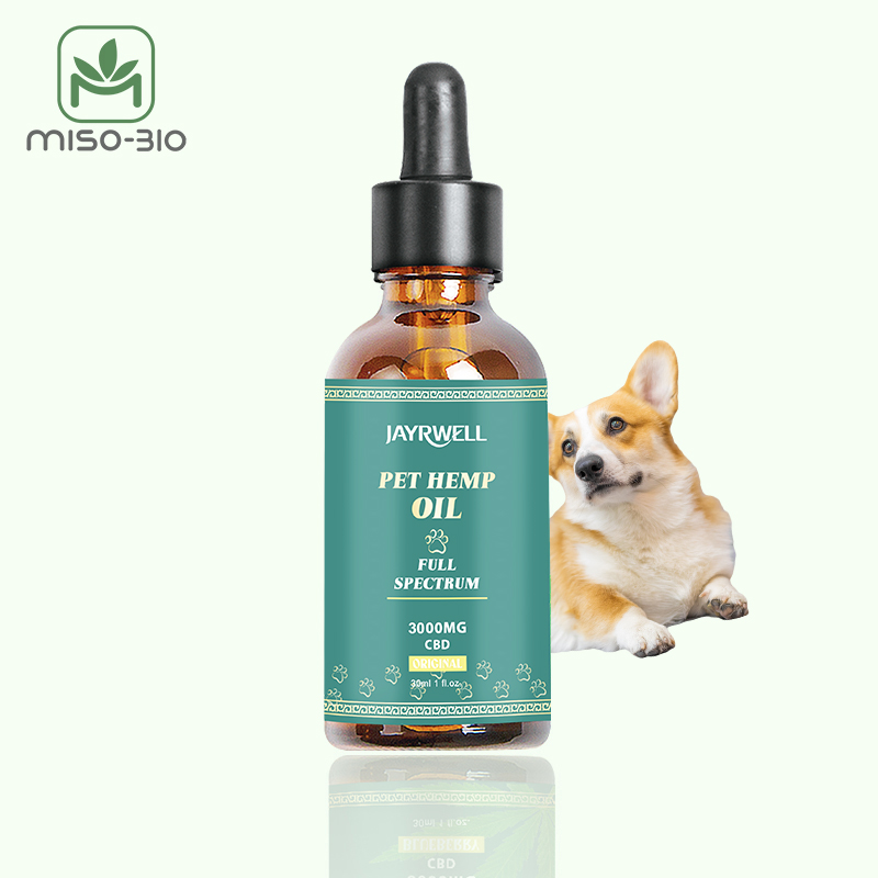 a depression dog with a bottle of hemp iol