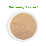 Rosemary Extract Carnosic Acid Anti-oxidant Rosmarinic Acid