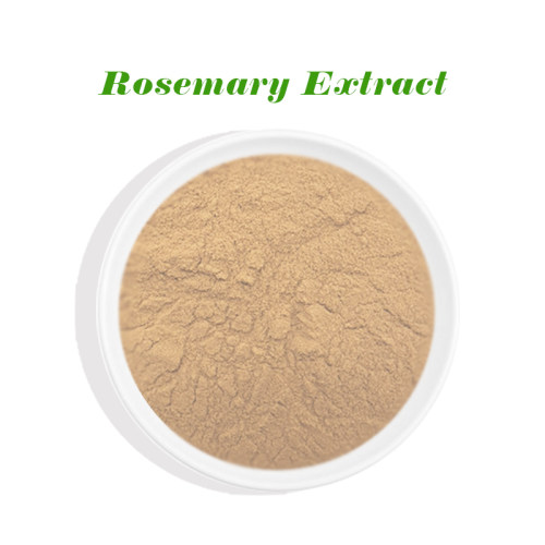 Rosemary Extract Carnosic Acid Anti-oxidant Rosmarinic Acid