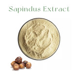 Natural Soapnut Extract Powder