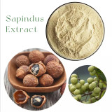 Natural Soapnut Extract Powder