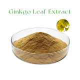 Ginkgo Extract Powder
