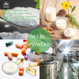 Inulin Powder Extract Powder
