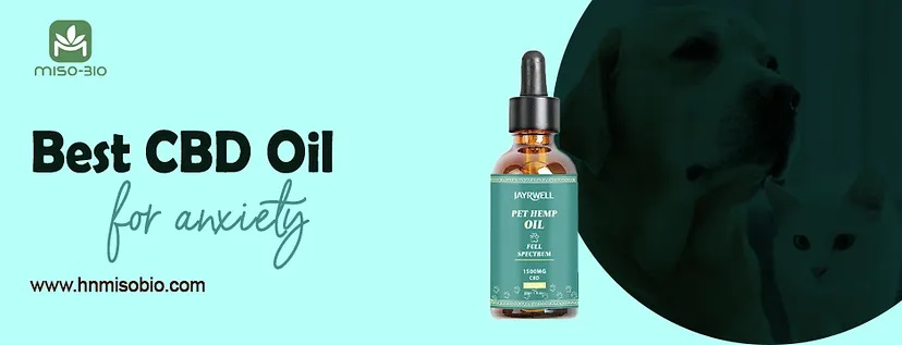 Best hemp oil for dog