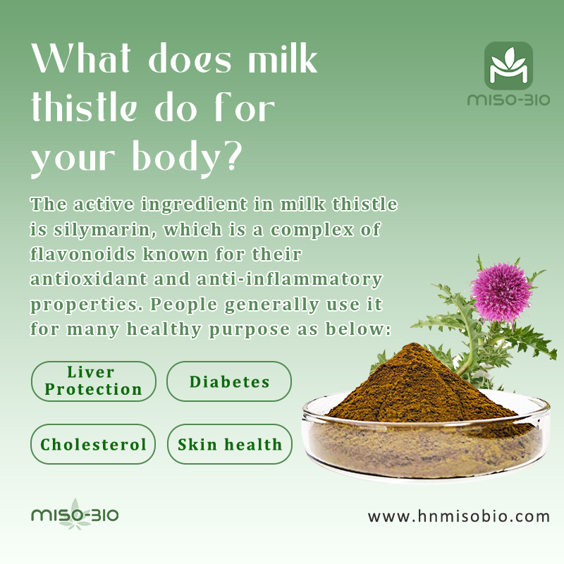 Doest thistle powder good for your liver?