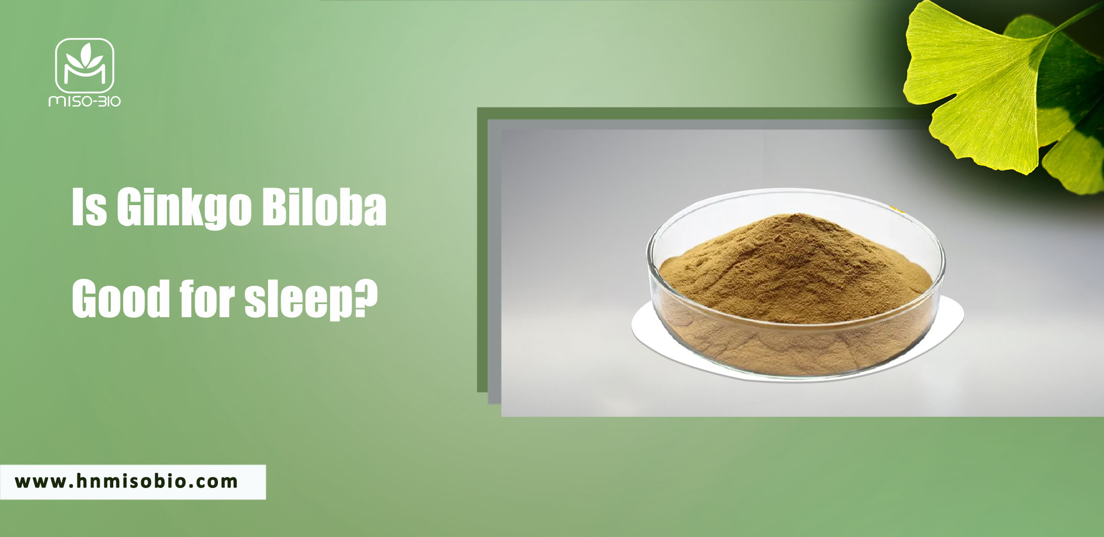 Ginkgo biloba extract from Hunan MiSo for supplement purpose