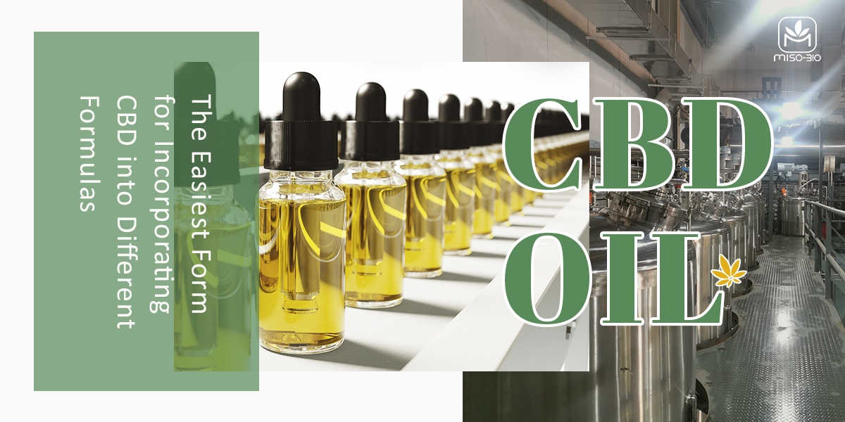 CBD oil manufacture