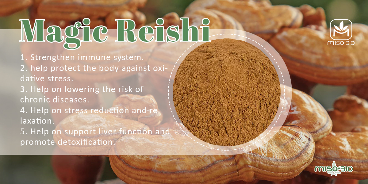 Reishi Mushroom Extracts from MiSo Bio