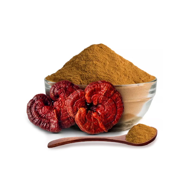 a bowl of Reishi Mushroom powder extracted from Reishi