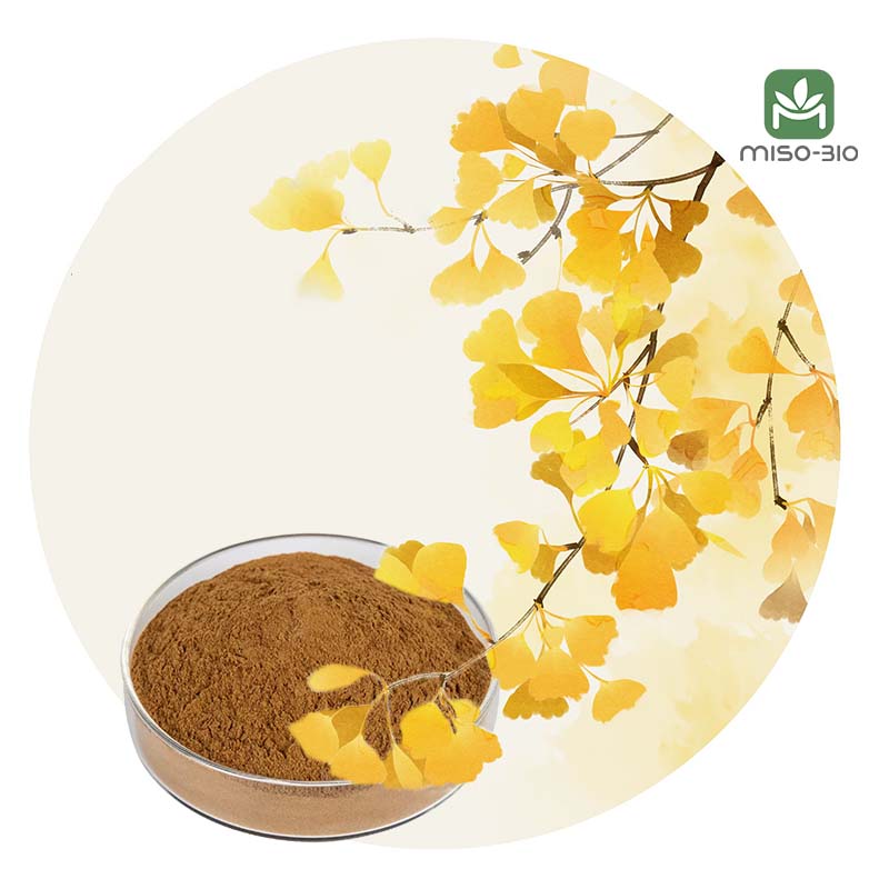 a bowl of ginkgo biloba extract with ginkgo leaves