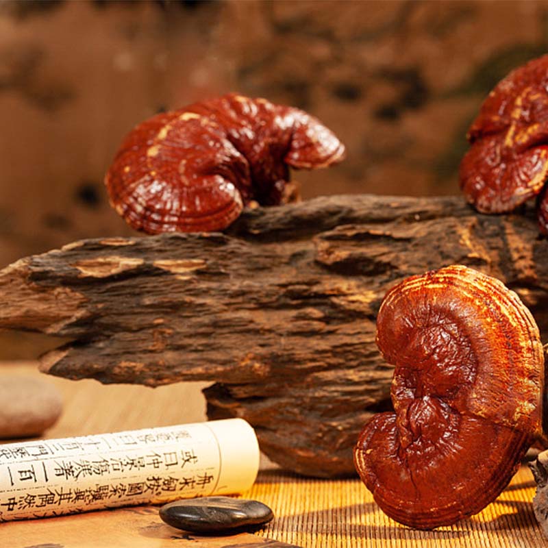 Red Reishi on table with an old book
