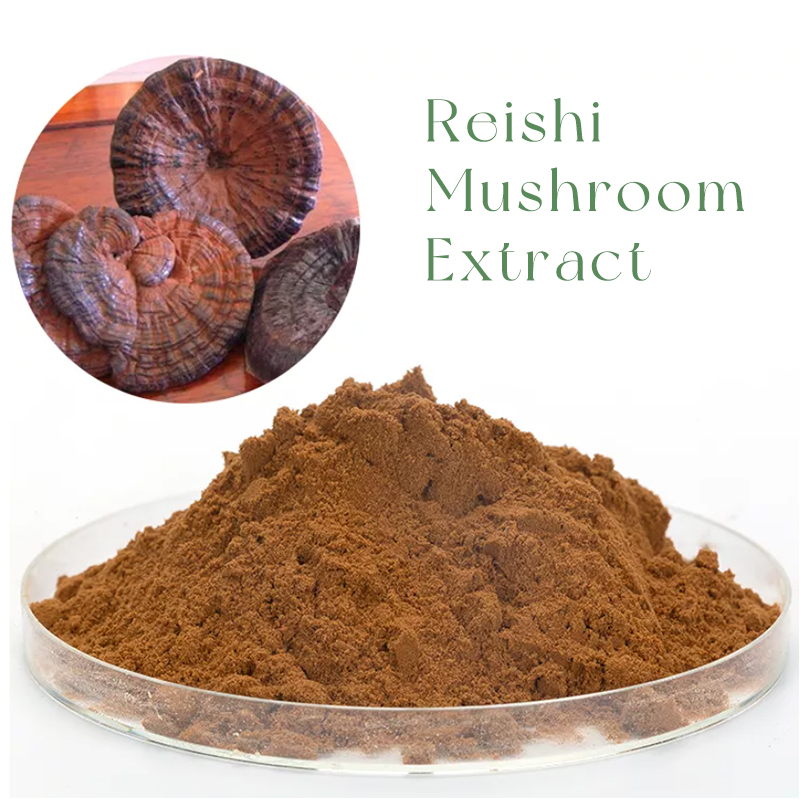a bowl of Reishi Mushroom Extract