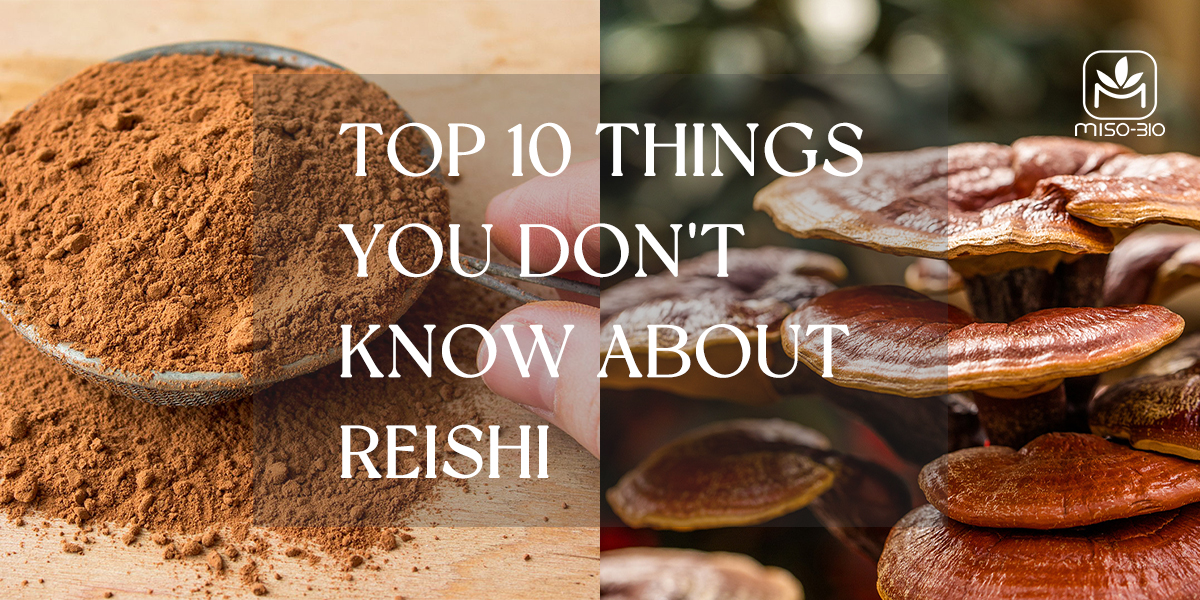 Top 10 benefits of Reishi