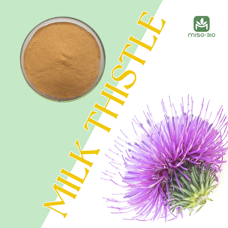 milk thistle flower and a bawl of milk thistle powder
