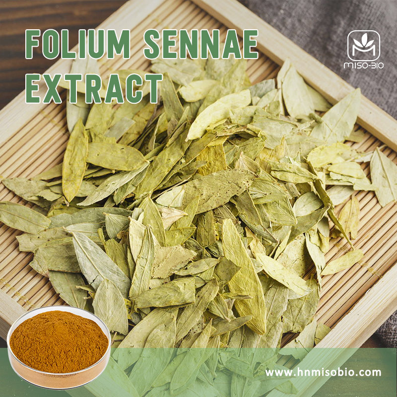 Folium Sennae extract