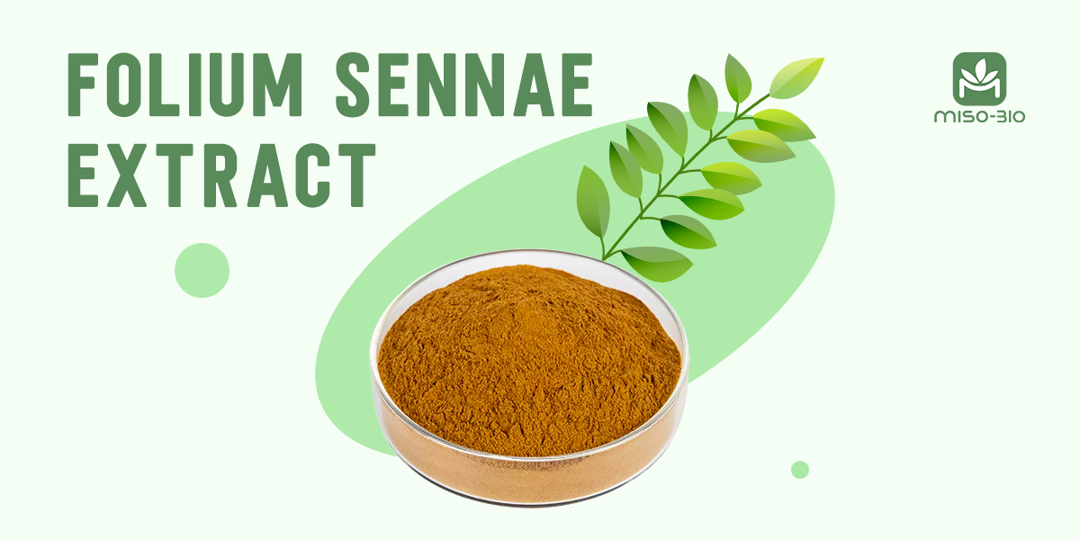 Senna leaf extract